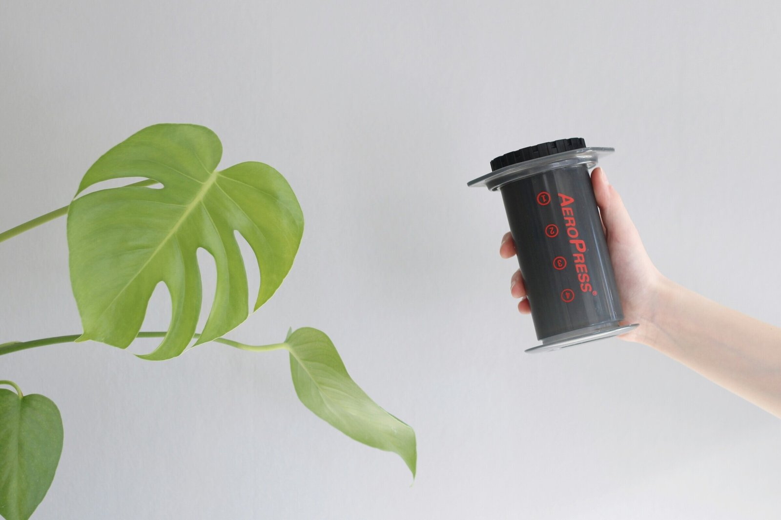 Eco-Friendly Products for Dropshipping