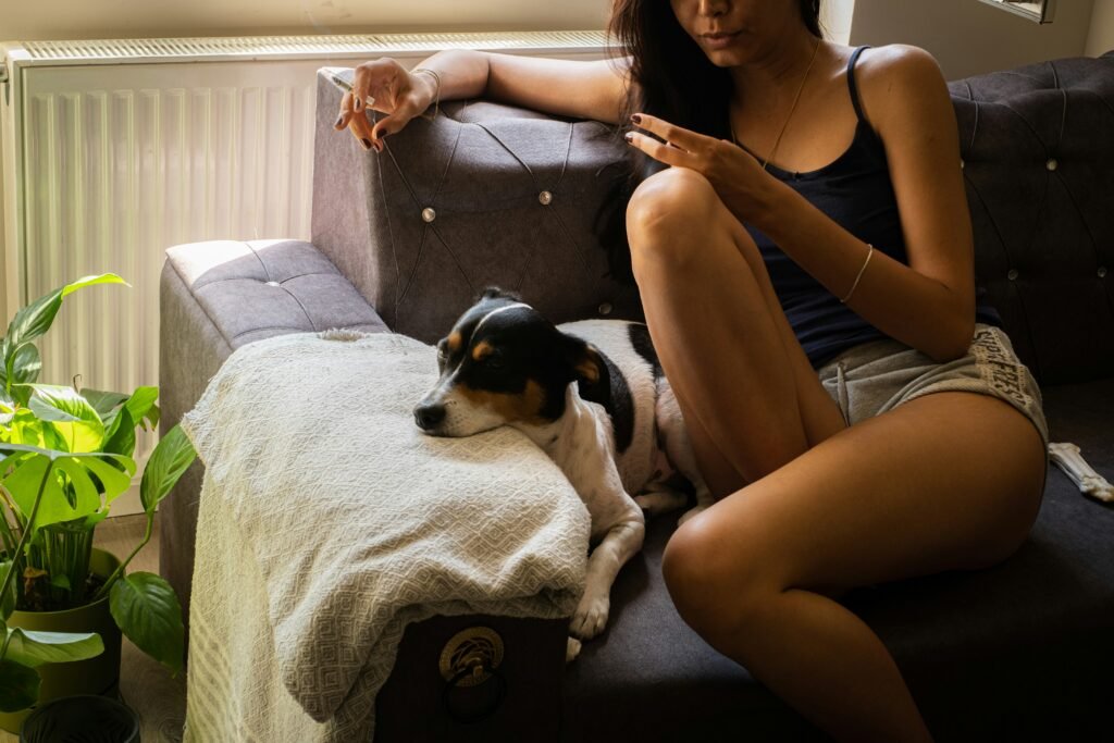 Eco-Friendly Dog Walking Services