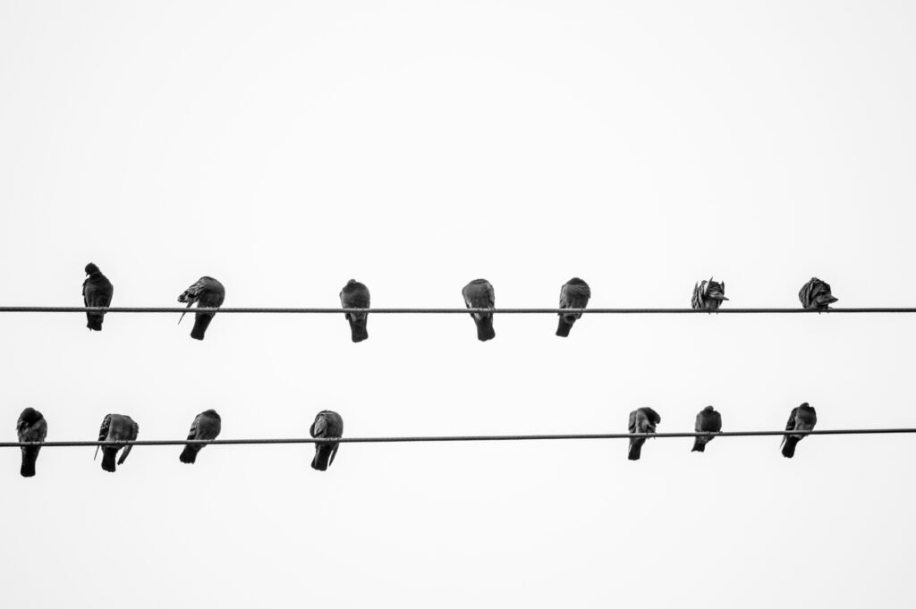 Freelancing in Oversaturated Markets