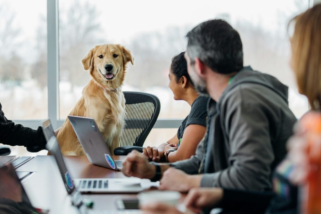 Marketing Your Luxe Pet Retreat